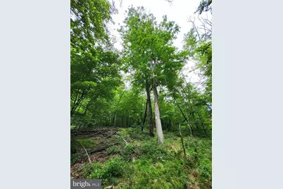 Lot 12 Feather Bed Lane, Hedgesville, WV 25427 - Photo 13