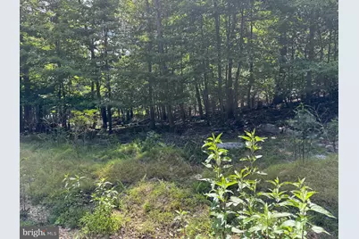 Roberts Road, Great Cacapon, WV 25422 - Photo 3