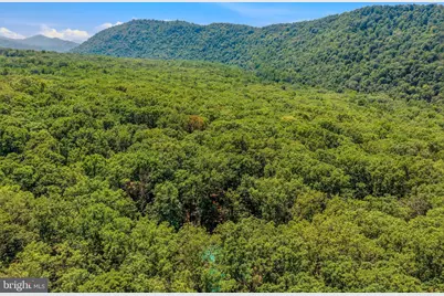 250 Flat Ridge Road, Great Cacapon, WV 25422 - Photo 47