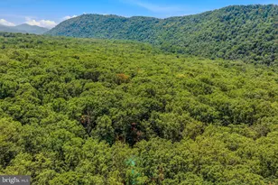 250 Flat Ridge Rd, Great Cacapon, WV 25422 - Photo 47