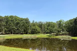 159 Bear Paw Ln, Berkeley Springs, WV 25411 - Photo 43