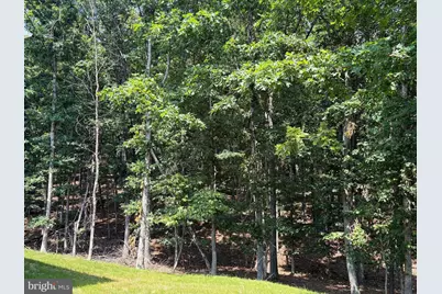 159 Bear Paw Lane, Berkeley Springs, WV 25411 - Photo 5