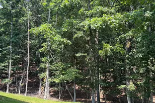 159 Bear Paw Ln, Berkeley Springs, WV 25411 - Photo 5