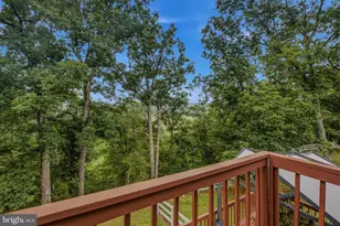 126 Old Mill Manor Ct, Berkeley Springs, WV 25411 - Photo 47