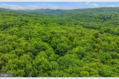 221 Mountainside Road, Berkeley Springs, WV 25411 - Photo 39