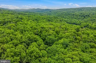 221 Mountainside Rd, Berkeley Springs, WV 25411 - Photo 39