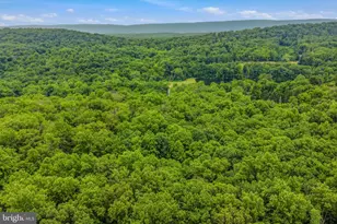 221 Mountainside Rd, Berkeley Springs, WV 25411 - Photo 37