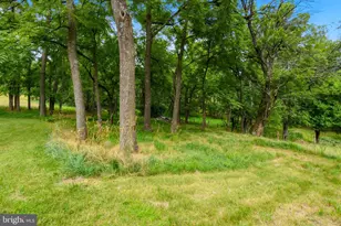 2197 Mauzy Rd, Berkeley Springs, WV 25411 - Photo 87