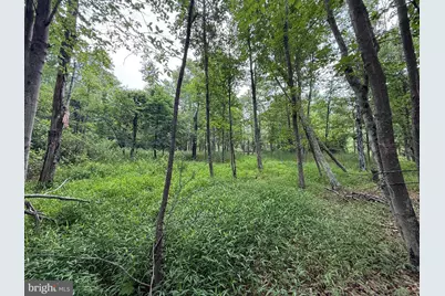 Hungaria Avenue, Berkeley Springs, WV 25411 - Photo 11