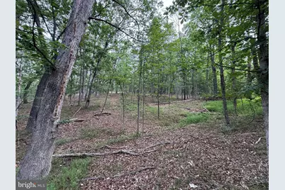 Hungaria Avenue, Berkeley Springs, WV 25411 - Photo 15