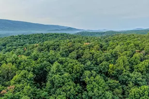 843 Cedar Run Ln, Great Cacapon, WV 25422 - Photo 53