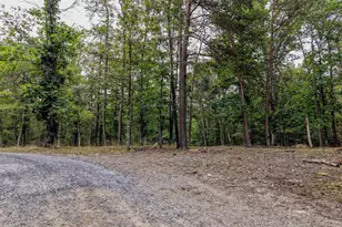 843 Cedar Run Ln, Great Cacapon, WV 25422 - Photo 51