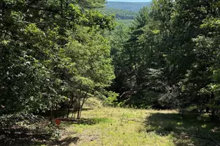 791 Cedar Run Ln, Great Cacapon, WV 25422 - Photo 15