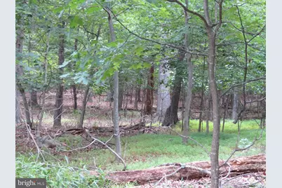 Lot 11 Audubon Road, Hedgesville, WV 25427 - Photo 5