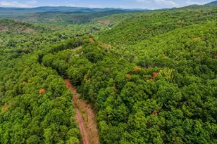 2230 Seldom Seen Rd, Great Cacapon, WV 25422 - Photo 41
