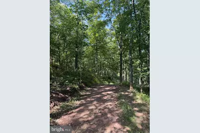Sir Johns Run Road, Berkeley Springs, WV 25411 - Photo 7