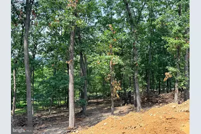 4272 Timber Ridge Road, Berkeley Springs, WV 25411 - Photo 9