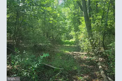 Terry's Road #LOT 35A, Berkeley Springs, WV 25411 - Photo 1