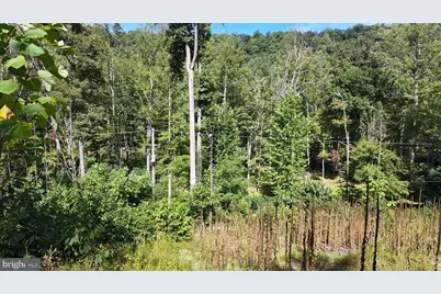 121 Limestone Pond Lane, Great Cacapon, WV 25422 - Photo 21