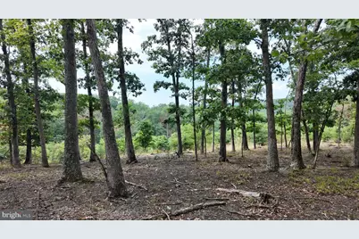 29 Acres Gaither Road, Great Cacapon, WV 25422 - Photo 11
