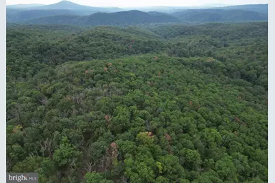 29 Acres Gaither Road, Great Cacapon, WV 25422 - Photo 27