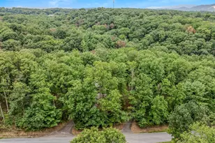 411 Little Creek Trail, Berkeley Springs, WV 25411 - Photo 41