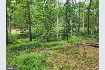 380 Conners Hollow Road, Great Cacapon, WV 25422 - Photo 19