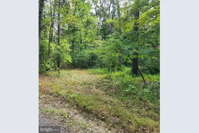380 Conners Hollow Road, Great Cacapon, WV 25422 - Photo 3