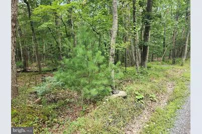 380 Conners Hollow Road, Great Cacapon, WV 25422 - Photo 81