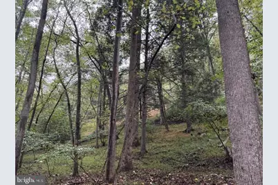 Denver Trail, Berkeley Springs, WV 25411 - Photo 19