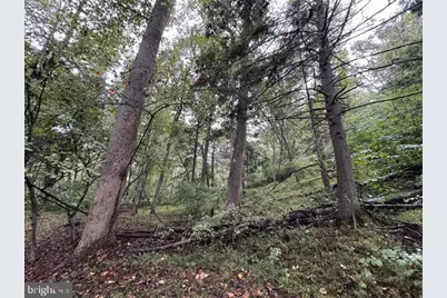 Denver Trail, Berkeley Springs, WV 25411 - Photo 17