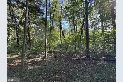 Denver Trail, Berkeley Springs, WV 25411 - Photo 5