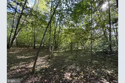 Denver Trail, Berkeley Springs, WV 25411 - Photo 7