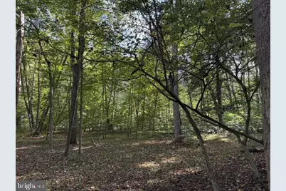 Denver Trail, Berkeley Springs, WV 25411 - Photo 11