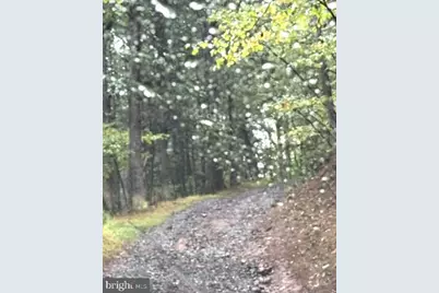 Denver Trail, Berkeley Springs, WV 25411 - Photo 29