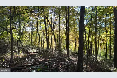 Cold Run Valley Road, Berkeley Springs, WV 25411 - Photo 69