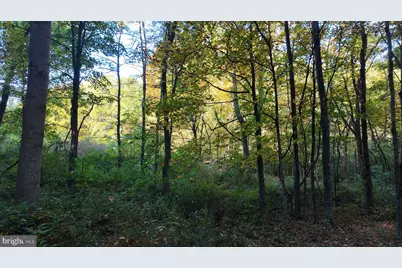 Cold Run Valley Road, Berkeley Springs, WV 25411 - Photo 61