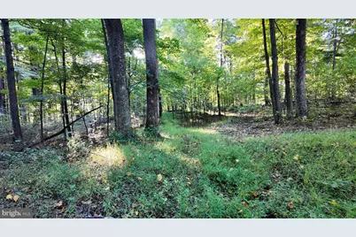 Cold Run Valley Road, Berkeley Springs, WV 25411 - Photo 33