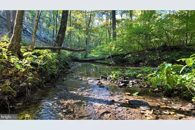 Cold Run Valley Road, Berkeley Springs, WV 25411 - Photo 1