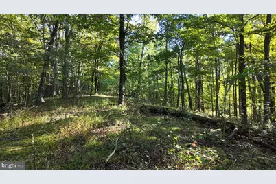 Cold Run Valley Road, Berkeley Springs, WV 25411 - Photo 35