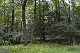 Lot 256 Azalea Ln, Terra Alta, WV 26764 - Photo 1