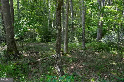 Lot 256 Azalea Ln, Terra Alta, WV 26764 - Photo 5