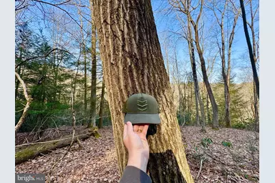 268 Wild Flower Way, Albright, WV 26519 - Photo 27