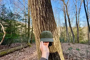 268 Wild Flower Way, Albright, WV 26519 - Photo 27