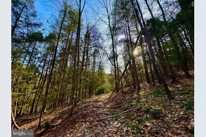 268 Wild Flower Way, Albright, WV 26519 - Photo 13