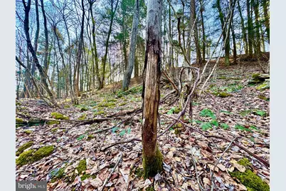 268 Wild Flower Way, Albright, WV 26519 - Photo 21