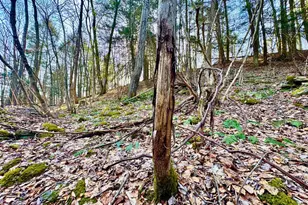 268 Wild Flower Way, Albright, WV 26519 - Photo 21