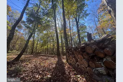 268 Wild Flower Way, Albright, WV 26519 - Photo 33