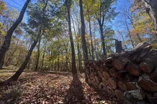 268 Wild Flower Way, Albright, WV 26519 - Photo 33