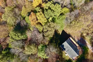 268 Wild Flower Way, Albright, WV 26519 - Photo 9